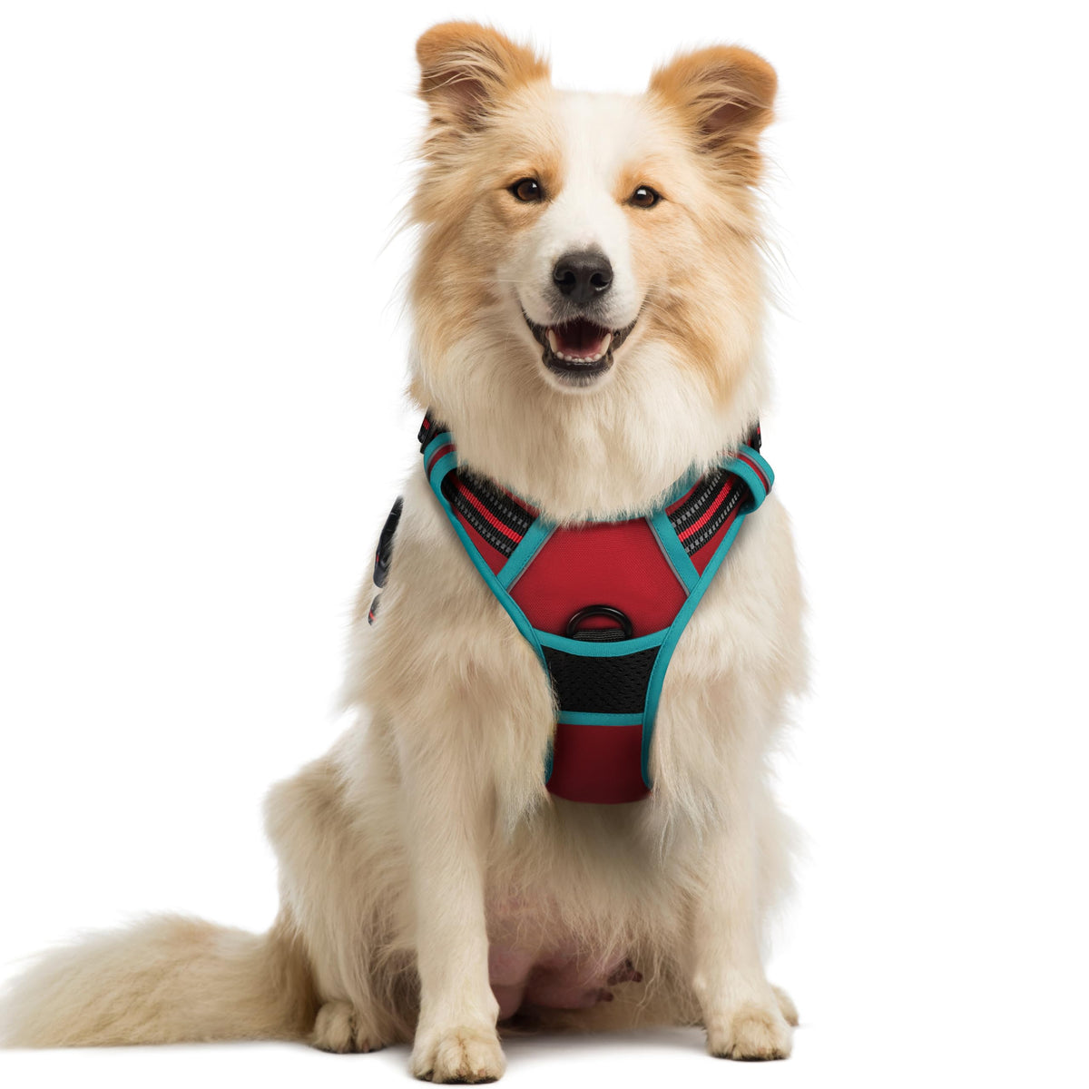 rabbitgoo Dog Harness Large Dog, No Pull Vest with Front Clip & Handle