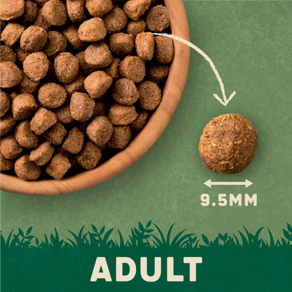 Harringtons Complete Dry Adult Dog Food Lamb & Rice 15kg