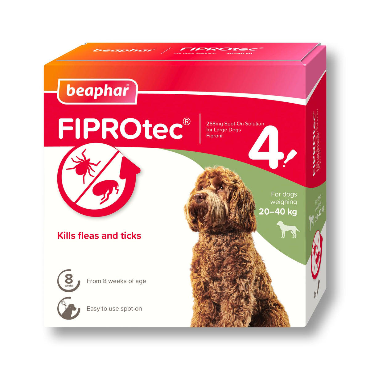 Beaphar - FIPROtec Spot-On Flea & Tick Treatment for Medium Dogs 10-20kg - 6 Pipettes - Kills Fleas & Ticks – Veterinary Medicine - Easy to Apply Monthly - Suitable for Dogs & Puppies from 8 Weeks