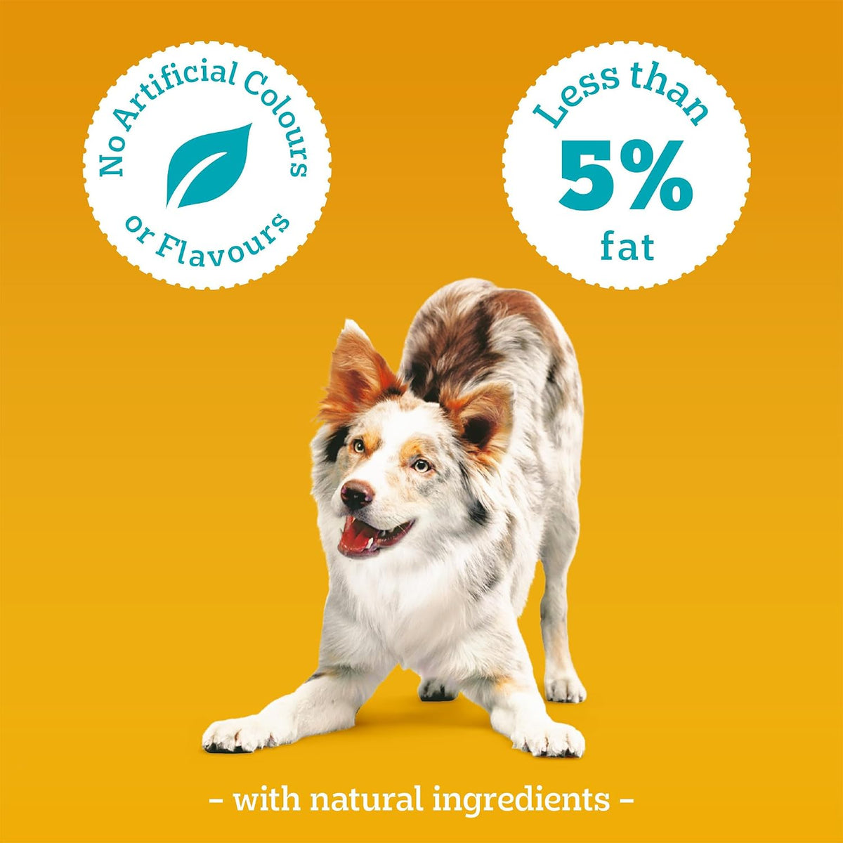 PEDIGREE TASTY MINIS Adult Dog Treats Cheese & Beef Nibbles 140g - Pack of 8, Packaging May Vary