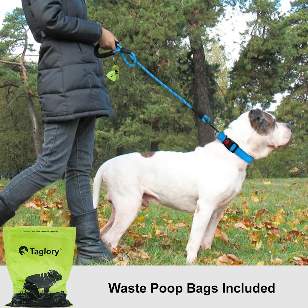 Taglory Rope Dog Lead with Soft Padded Handle – Reflective Rock Climbing Rope Lead for Small and Medium Dogs 120 cm 1.0 cm Black