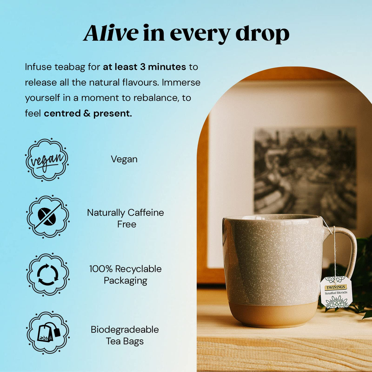 Twinings English Breakfast Tea, 4 x 80 Biodegradable Plant-Based Tea Bags