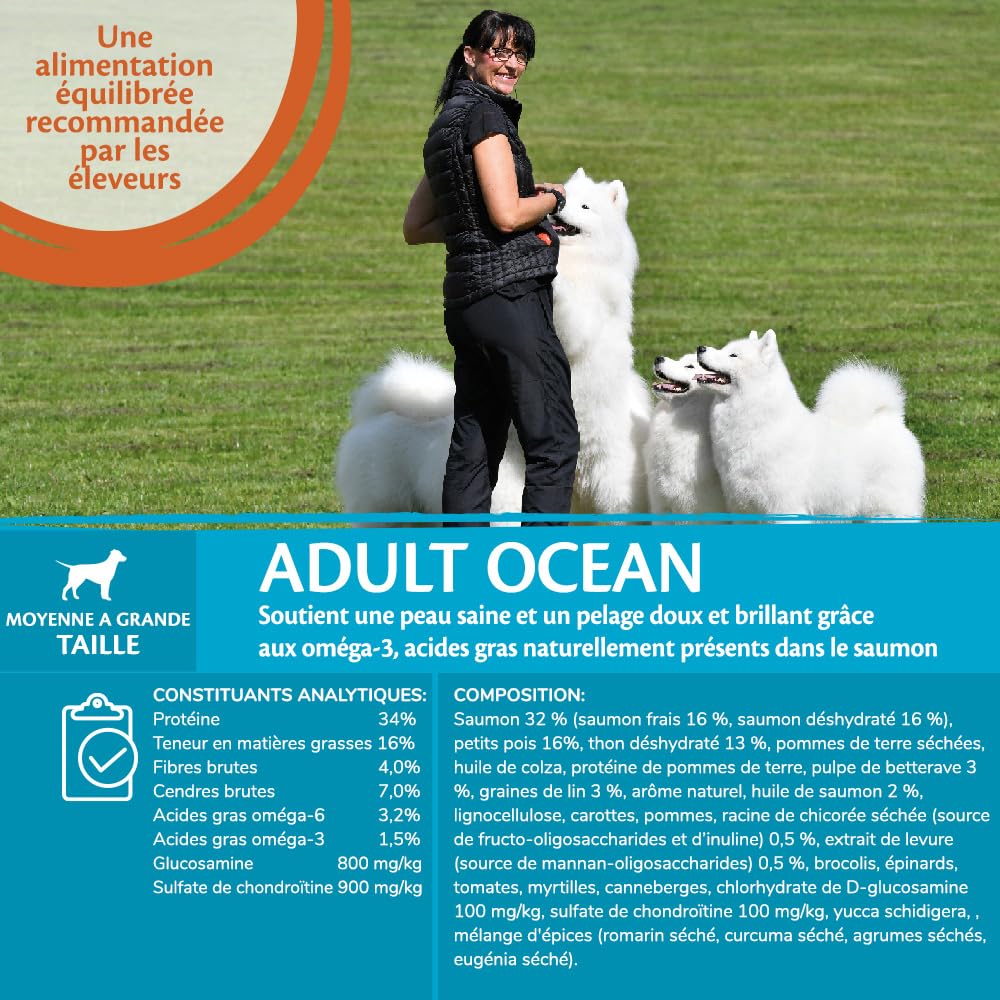 Wellness CORE Active Life 10 kg, Chicken & Turkey – Dry Dog Food