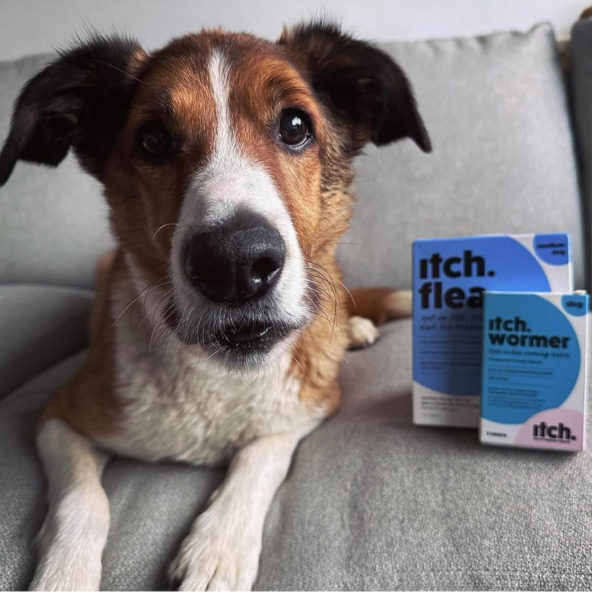 Itch Dog Wormer Tablets for Dogs 3-19kg - 4 Tablets