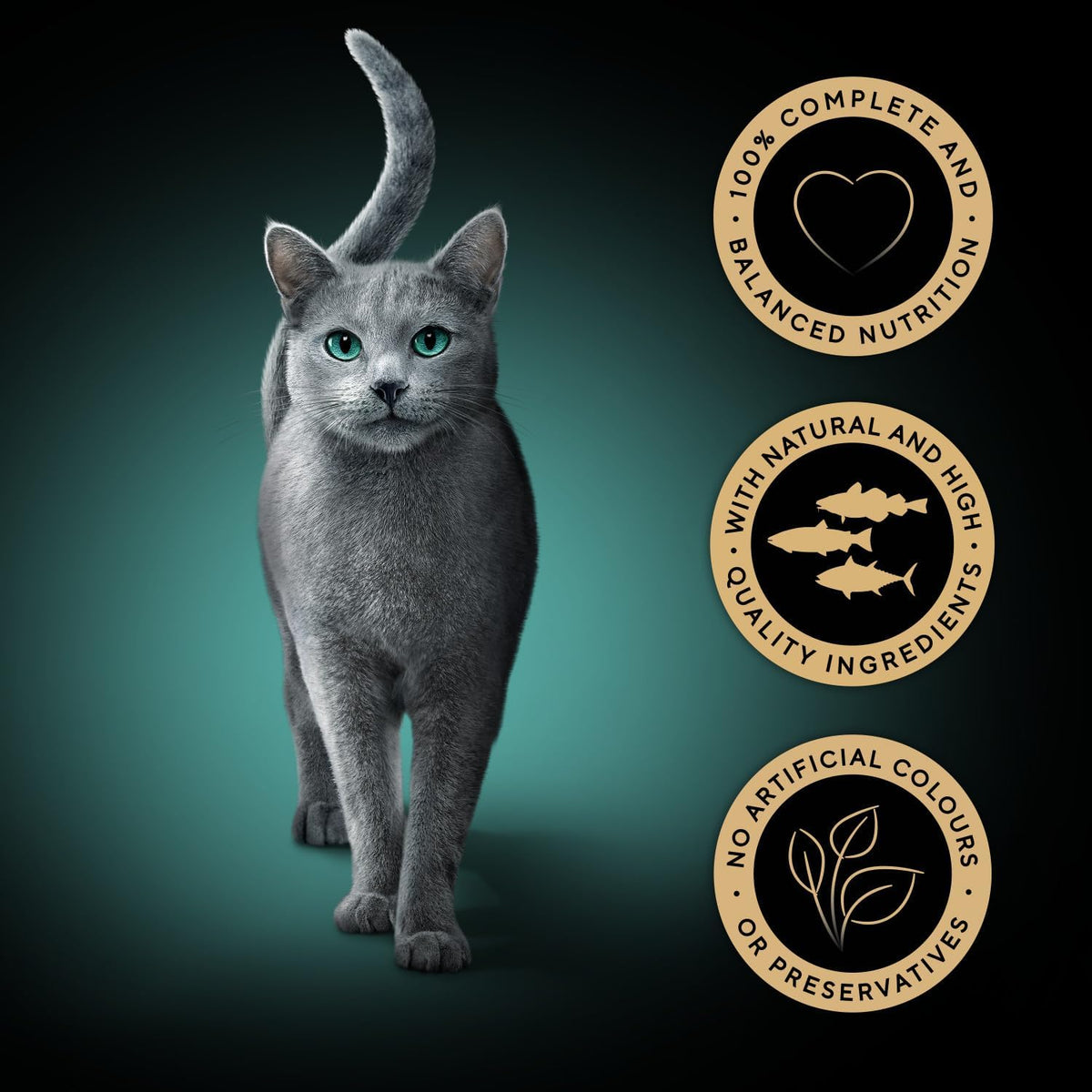 SHEBA Fresh & Fine Cat Pouches Fish collection in Gravy 50x50g