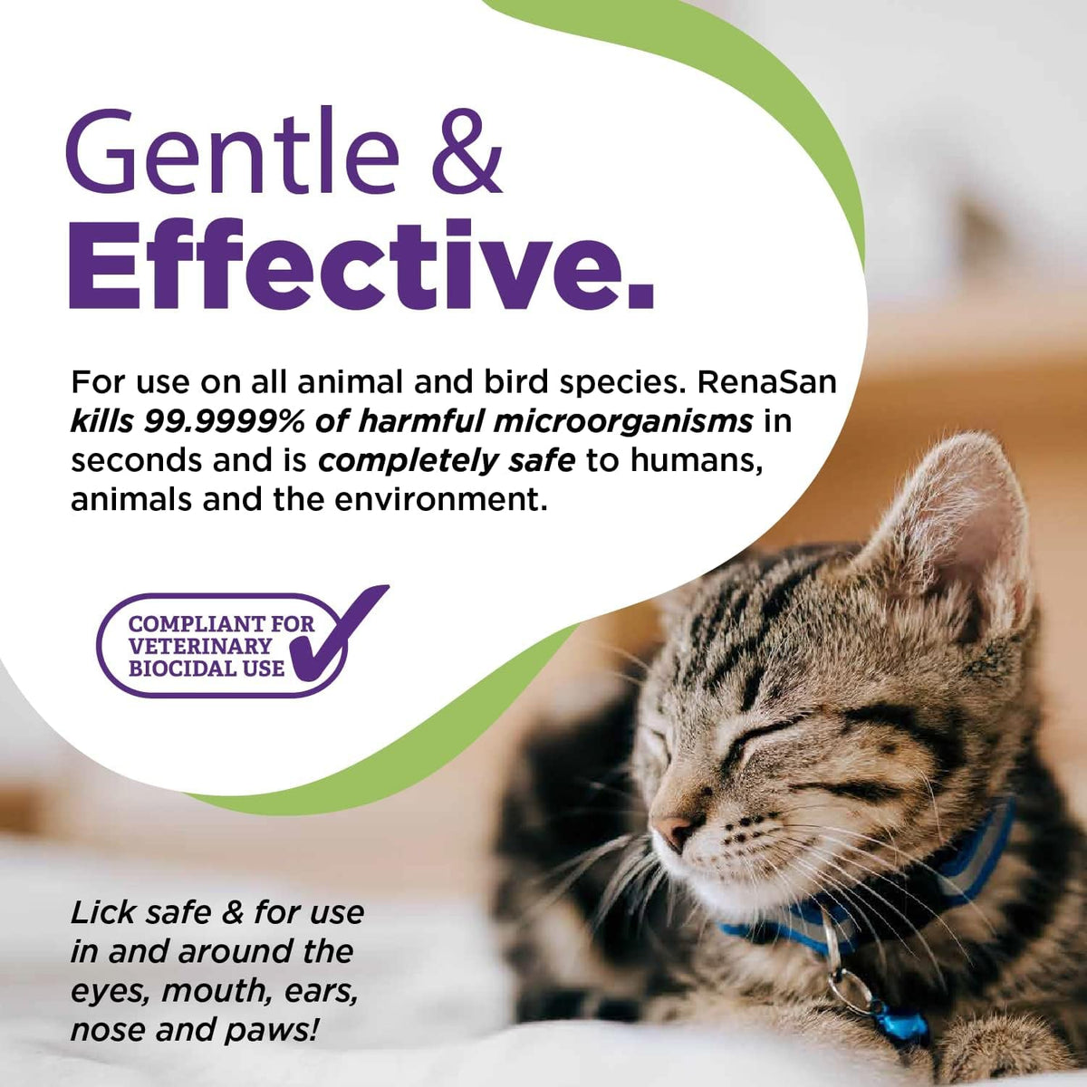 RenaSan Animal First Aid Spray (100ml) – Wound Disinfection, Kills Bacteria & Stops Itching, Alcohol-Free, Non-irritating, for Dogs, Cats & all other animals.