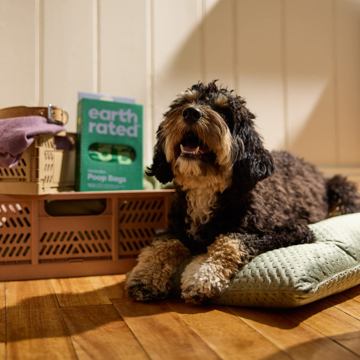 Earth Rated Dog Poo Bags with Handles, Easy Tie and Guaranteed Leakproof, Lavender Scented, 120 Bags