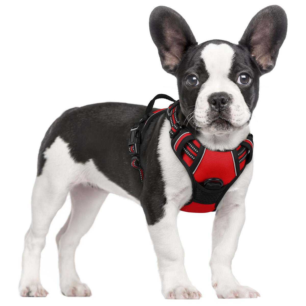 rabbitgoo Dog Harness Large Dog, No Pull Vest with Front Clip & Handle