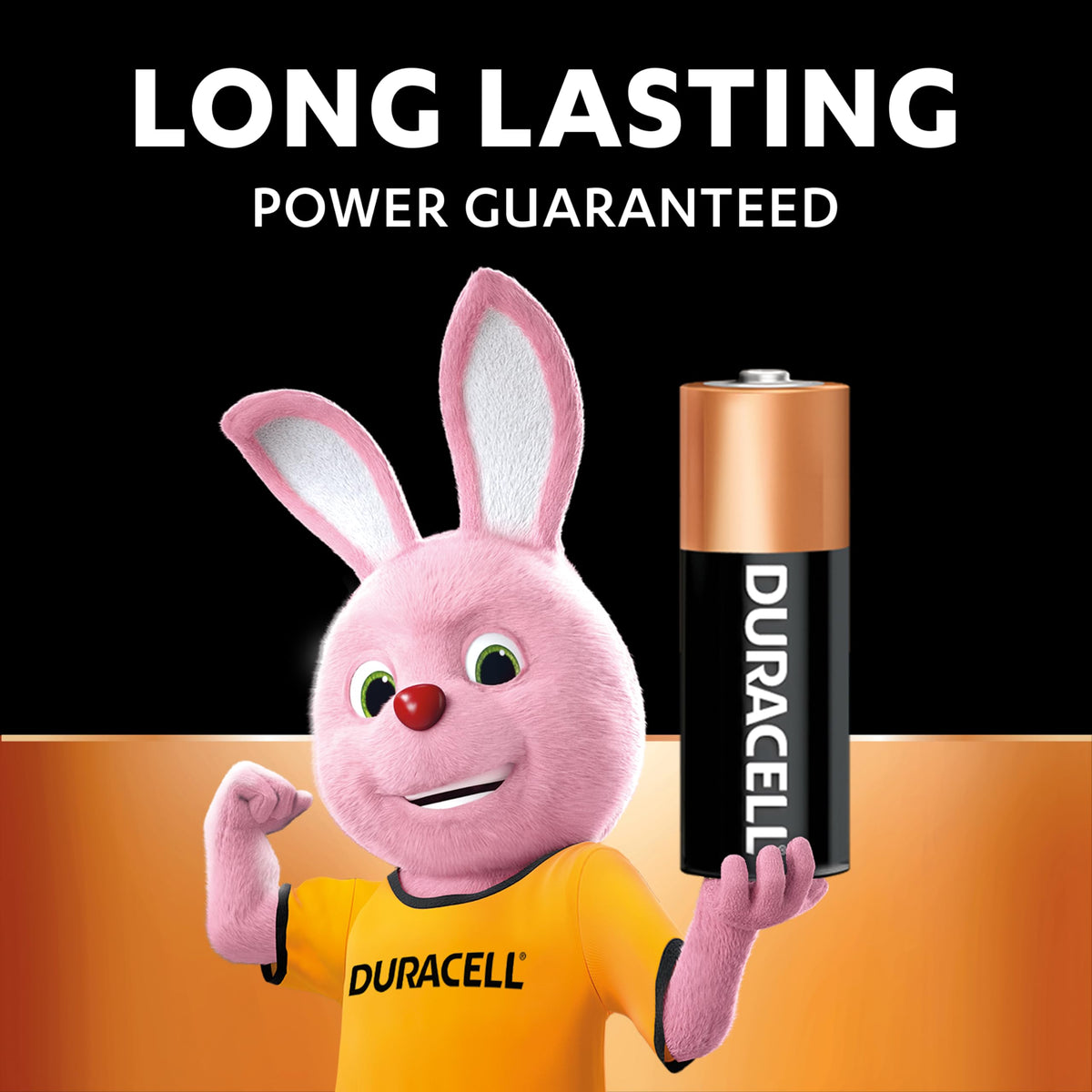 DURACELL 2025 Lithium Coin Batteries (4 Pack) 3V, CR2025