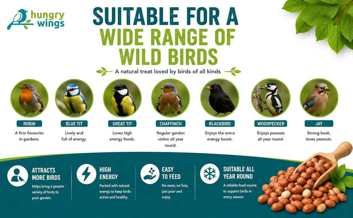Peanut Kernels Wild Bird Food Seed, 5L Refill Bag
