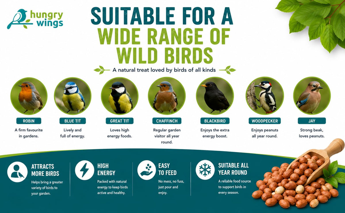 Peanut Kernels Wild Bird Food Seed, 5L Refill Bag