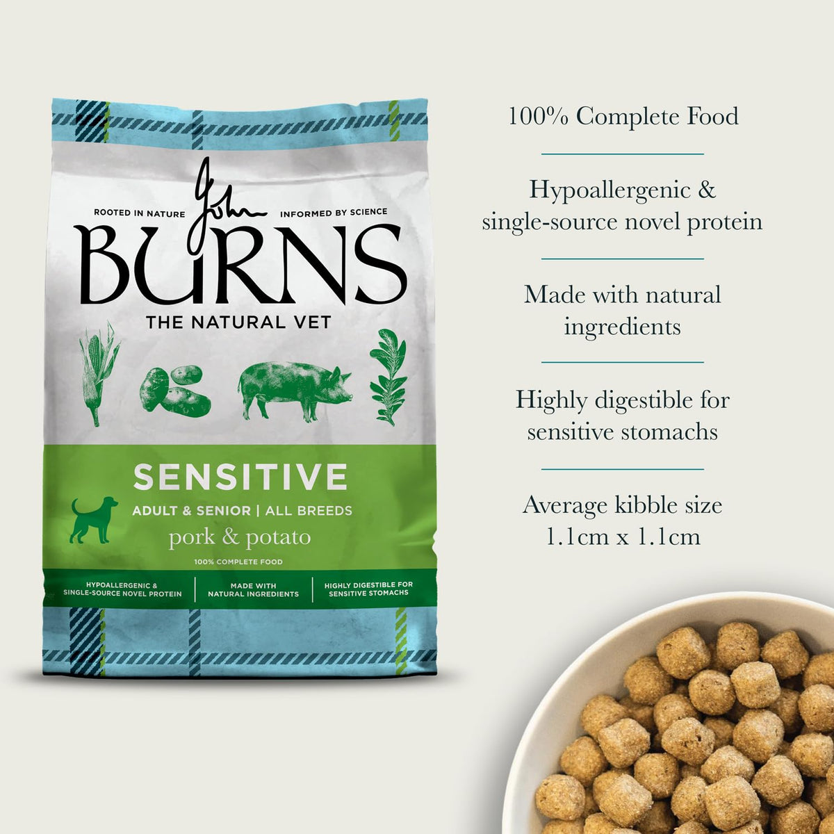 Burns Pet Nutrition Hypoallergenic Complete Dry Dog Food Adult and Senior Dog Sensitive with Pork and Potato 2 kg