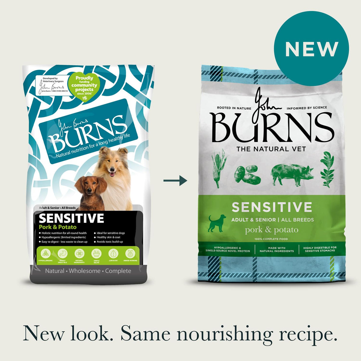 Burns Pet Nutrition Hypoallergenic Complete Dry Dog Food Adult and Senior Dog Sensitive with Pork and Potato 2 kg