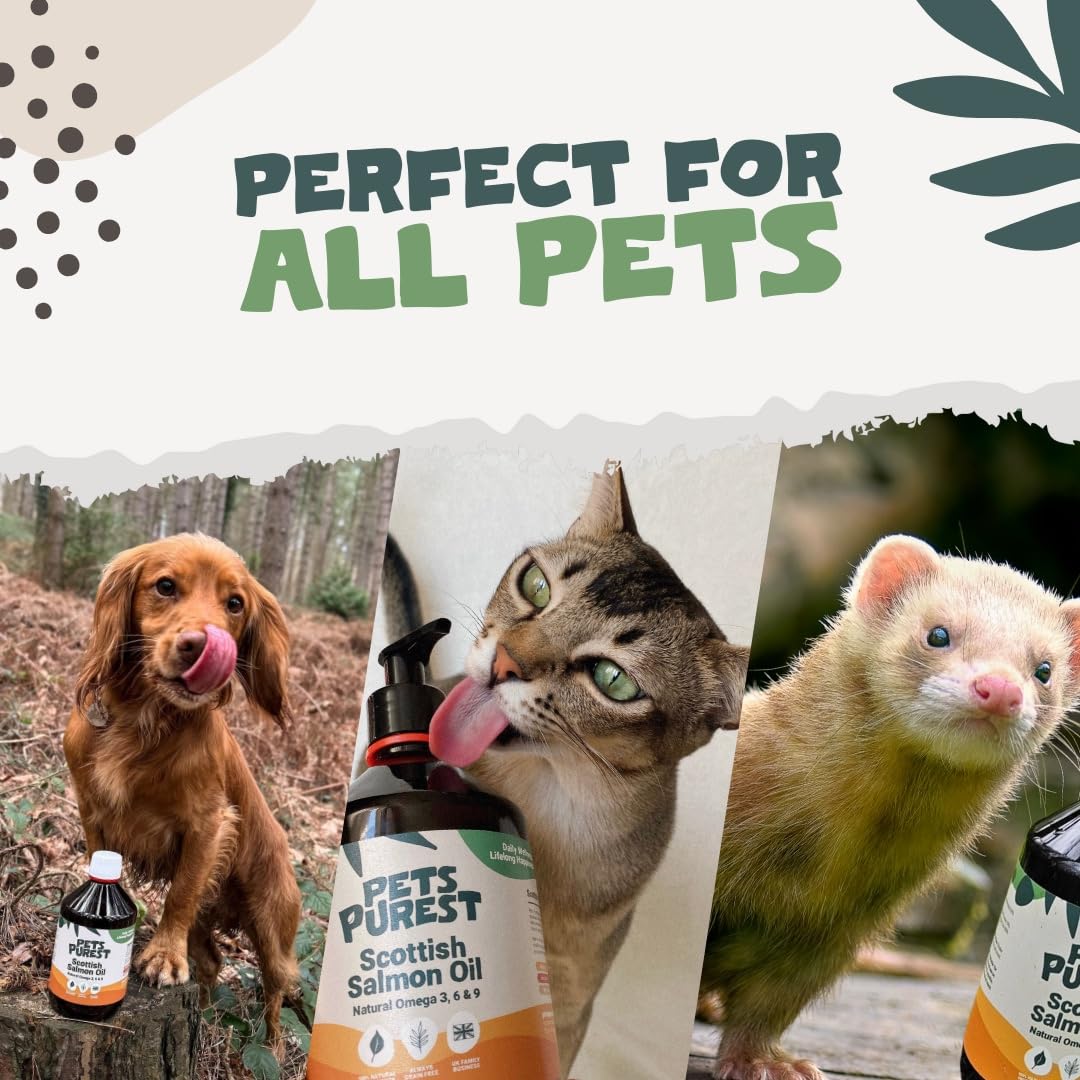 Pets Purest Scottish Salmon Oil For Dogs, Cats, Horse, Ferret - Pure Omega 3, 6 & 9 Fish Oil Food Treats Supplement for Natural Coat, Immune Support, Itchy Skin, Joint & Brain Health (500ml)