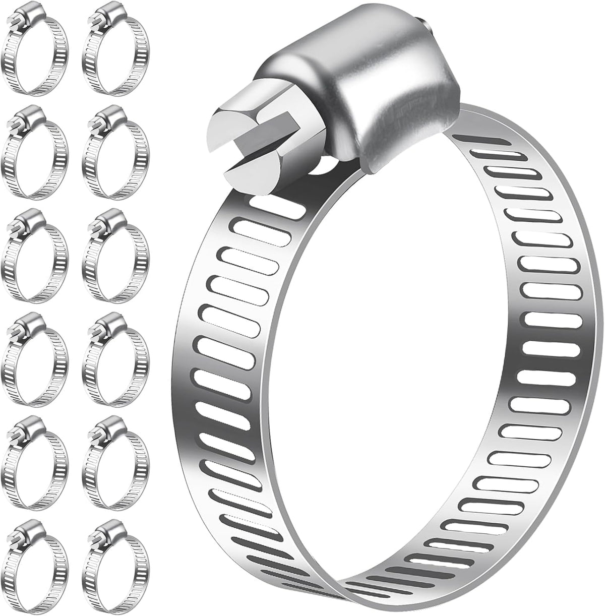 Bolatus Hose Clips 21-38 mm, 12 Pcs Hose Clamp Stainless Steel 304