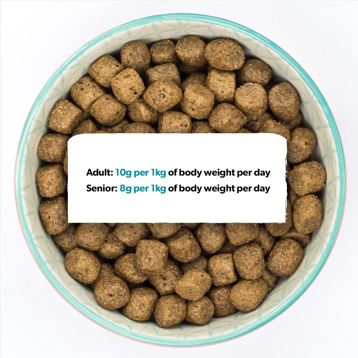 Burns Pet Nutrition Hypoallergenic Complete Dry Dog Food Adult and Senior Dog Sensitive with Pork and Potato 2 kg