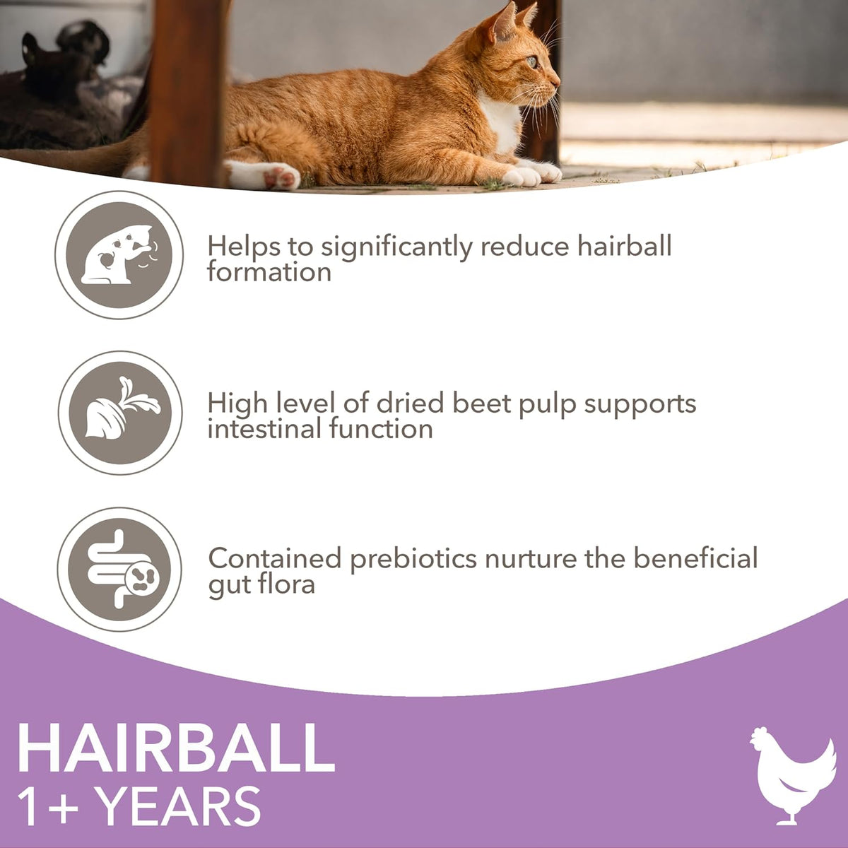 IAMS Hairball Complete Dry Cat Food Chicken 3kg - Significantly Reduces Hairball Formation