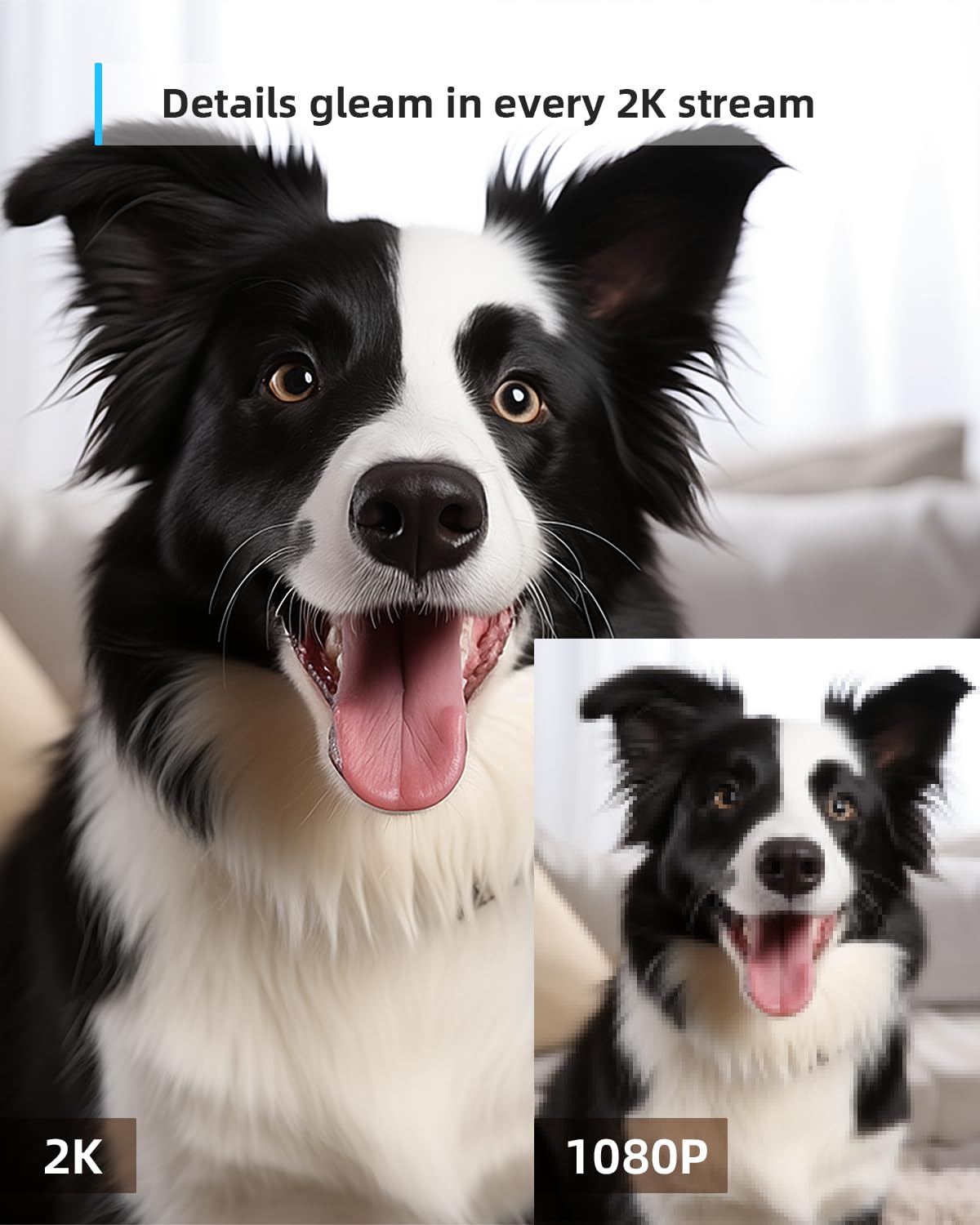 blurams Pet Camera 2K, Indoor Cameras, Dog Camera, 360° Home Security Cameras, Color Night Vision, Motion Tracking, 2-Way Talk, Cloud&SD, APP Control, Compatible with Alexa