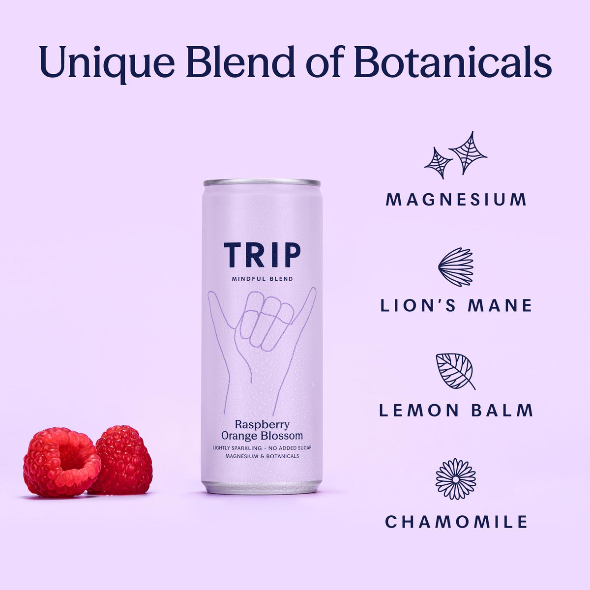 TRIP Cucumber Mint Sparkling drink with 120MG calming Magnesium + Lion’s Mane + Chamomile + Lemon Balm. Low Calorie and Vegan (Pack of 12 x 250ml) - Packaging Might Vary