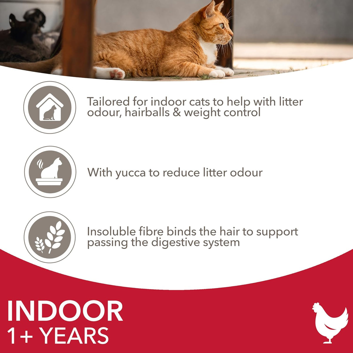 IAMS Indoor Complete Dry Cat Food Chicken 3kg - Litter Odour Control, Hairballs & Weight Management