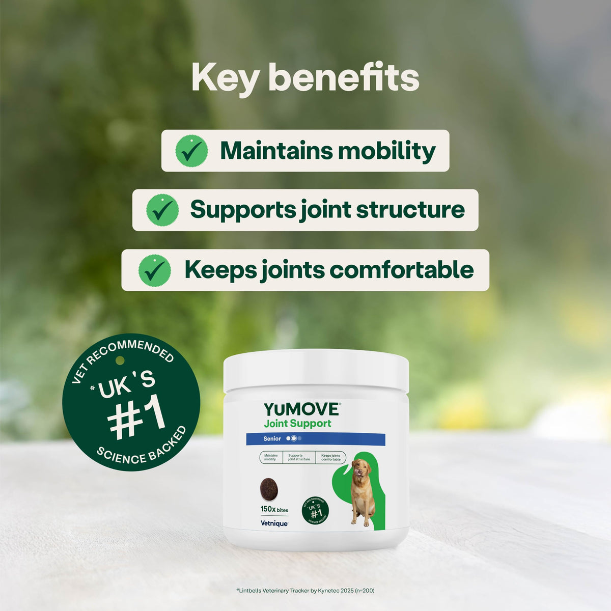 YuMOVE Senior Dog Joint Supplement, Daily Bites for Joint Care, Essential Dog Hip and Joint Aid for Senior Dogs with Glucosamine, Chondroitin, Green Lipped Mussel, Aged 8+, 60 Chews