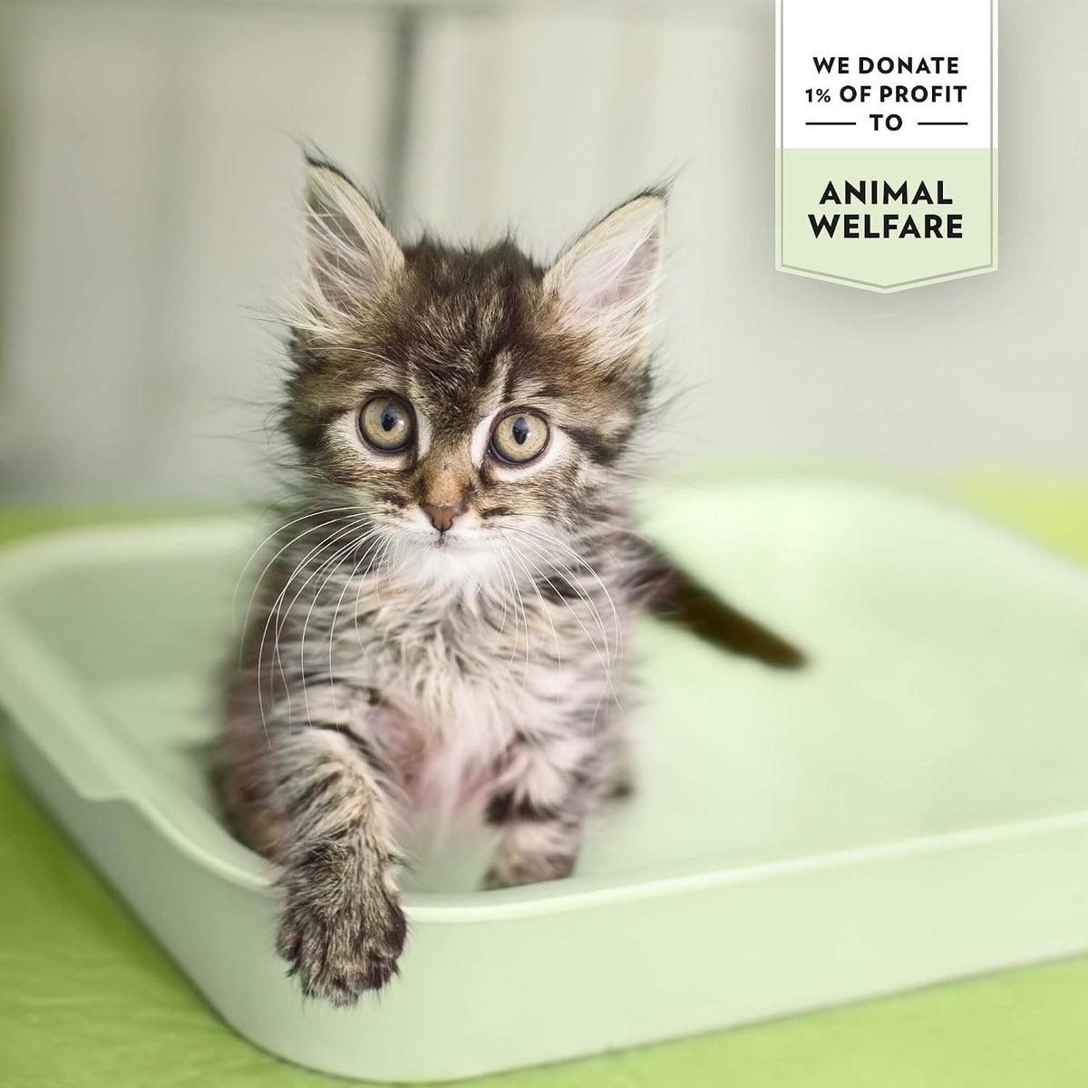 PrimaCat - Hygienic Apple Scented Cat Litter, Long Lasting Clay, 5L (4kg)