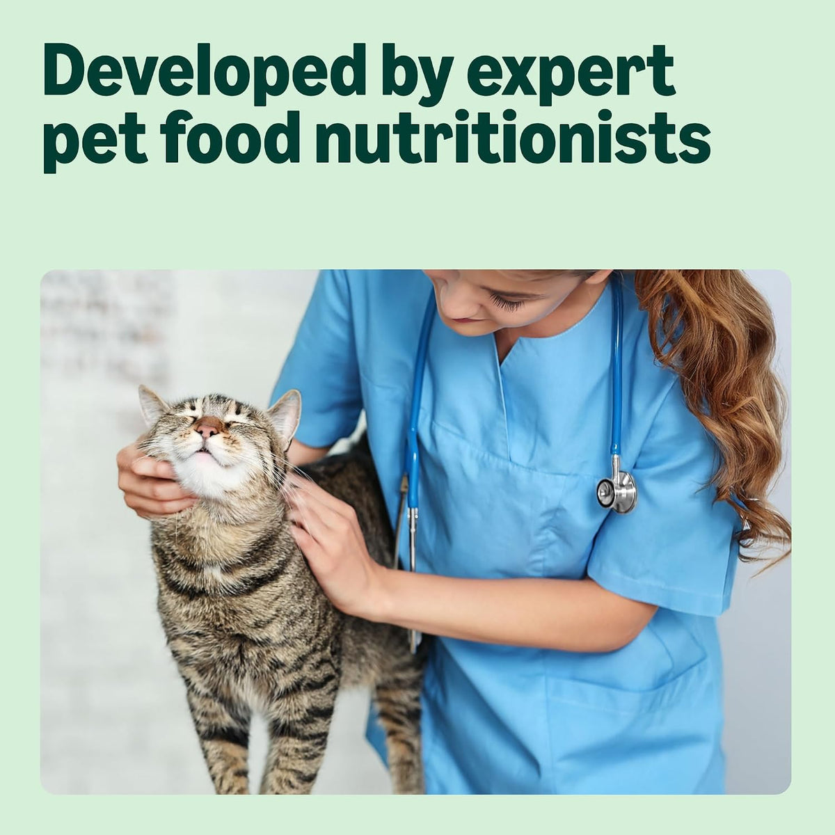 by Amazon Grain-Free Complete Wet Food for Adult Cats, Mixed Selection In Jelly, 4.8 kg (48 pouches of 100g)