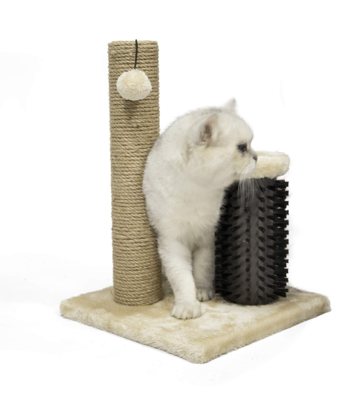 Amazon Basics Cat Scratching Post for Indoor Cats, Standard with Dangling Toy, 80 cm, Grey