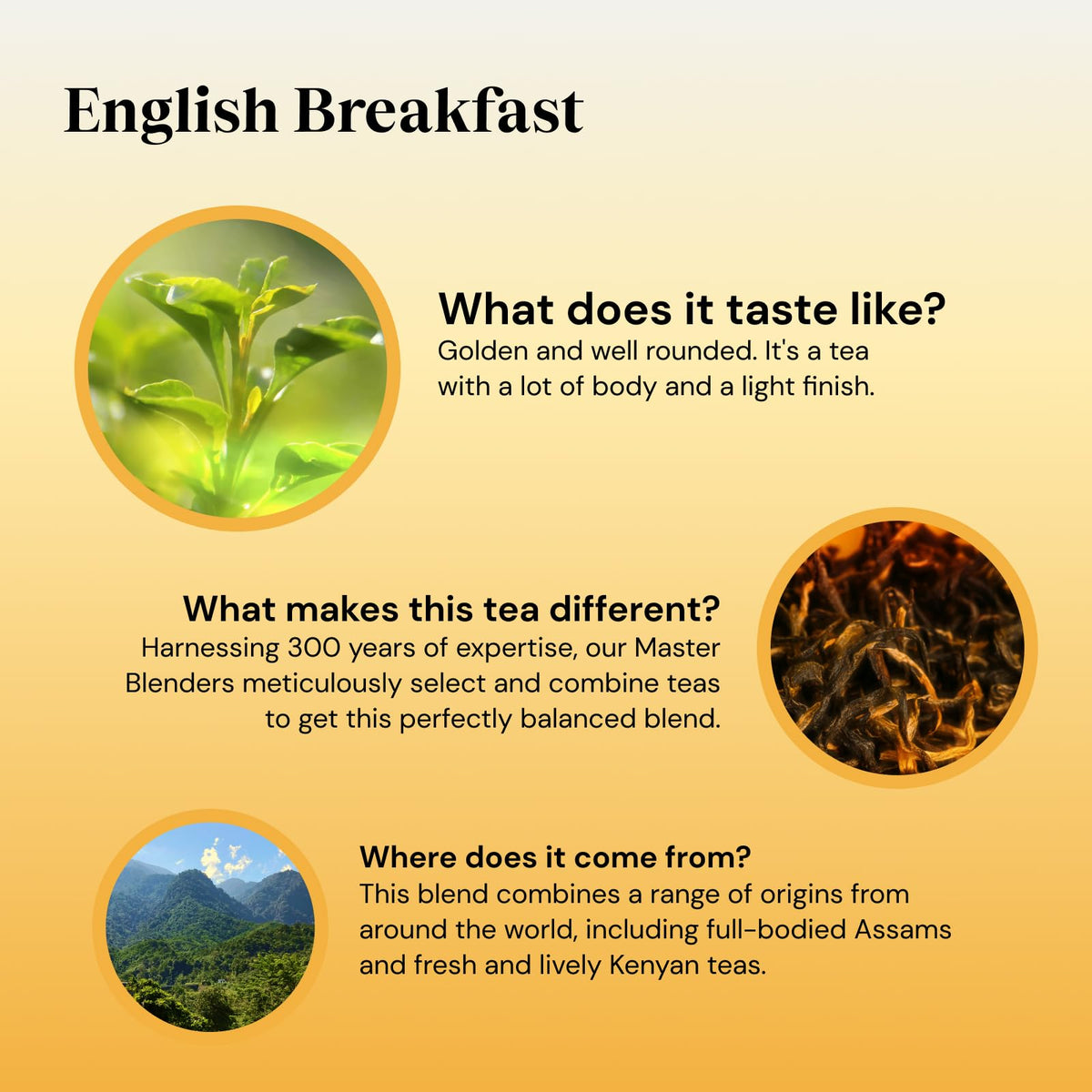 Twinings English Breakfast Tea, 4 x 80 Biodegradable Plant-Based Tea Bags