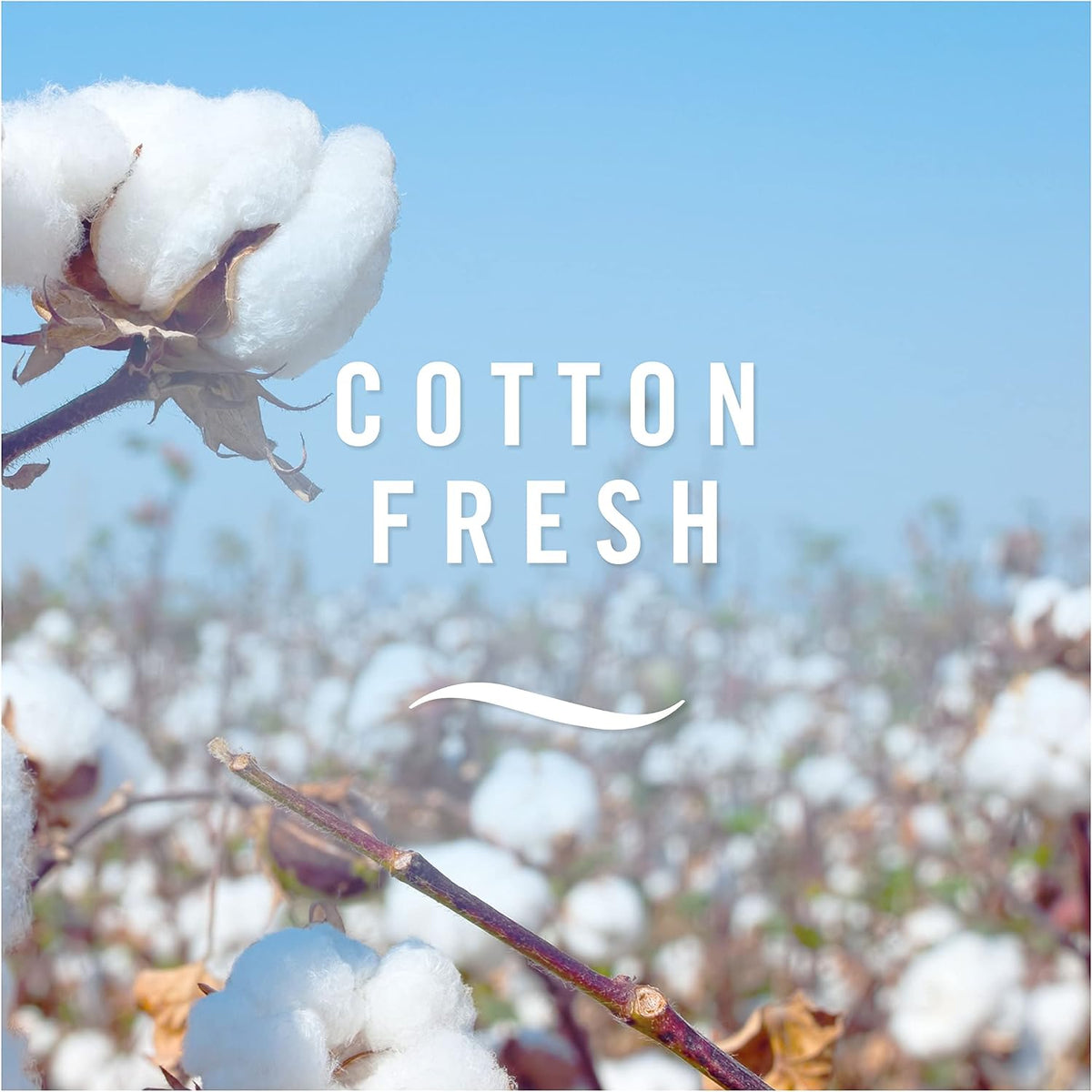 Febreze Bathroom, Continuous Air Freshener Cotton Fresh, 3 Unit, Fights Odour and Freshens