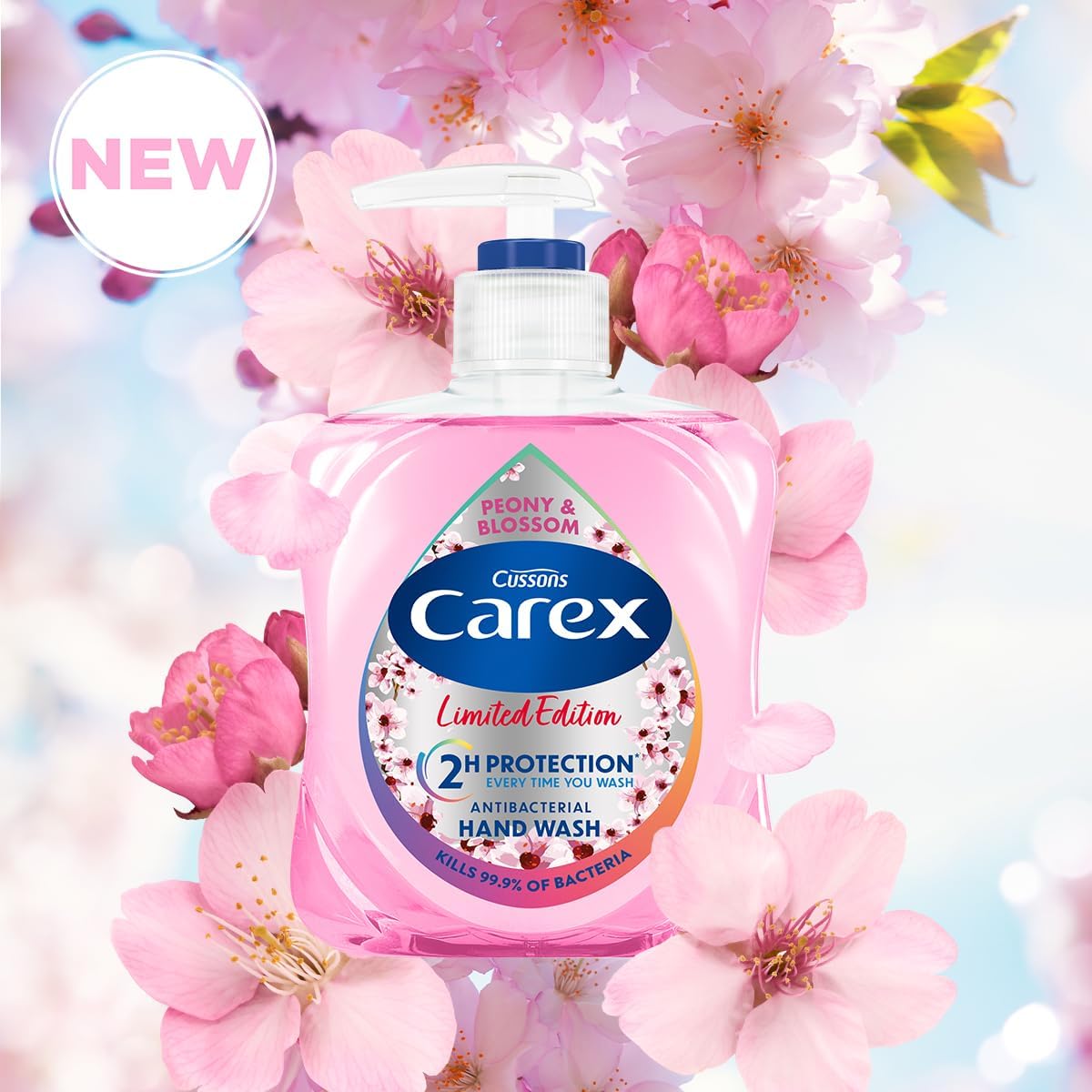 Carex 2 Hour Protection Antibacterial Peony and Blossom Hand Wash, Clean & Protect Hands, Bulk Buy, Pack of 6 x 250ml