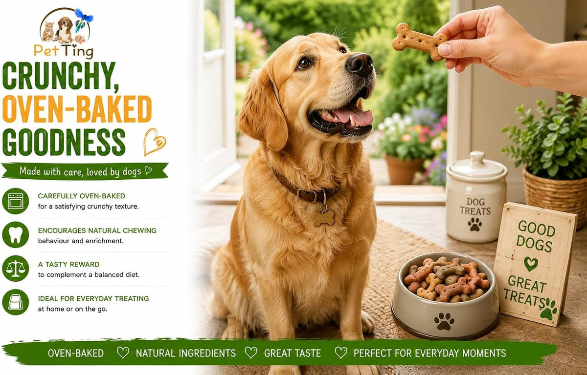 Premium Dog Biscuits Treats 1kg (Charcoal Cobs)