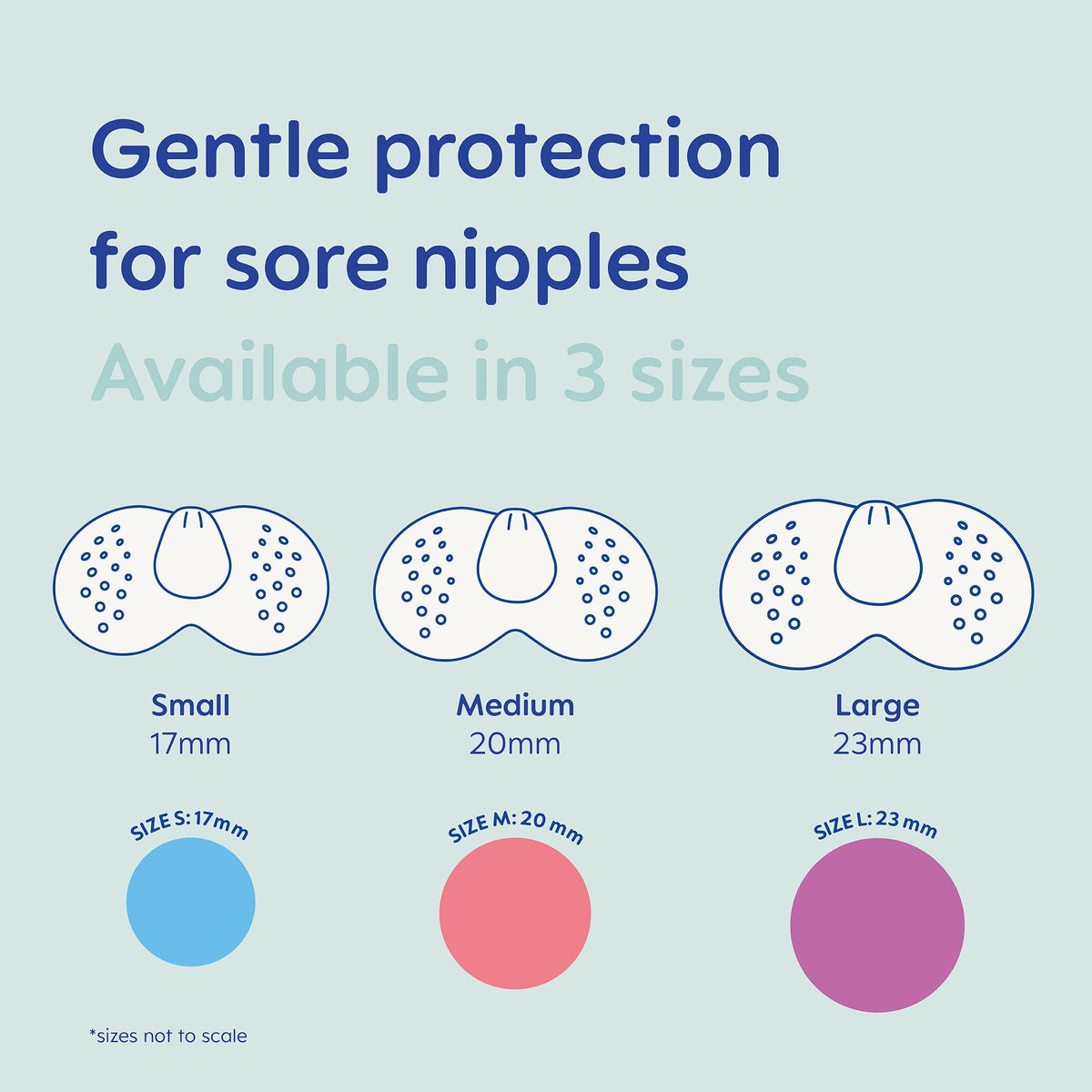 MAM Nipple Shield, 2 Pack, Medium, Sterilisable Case