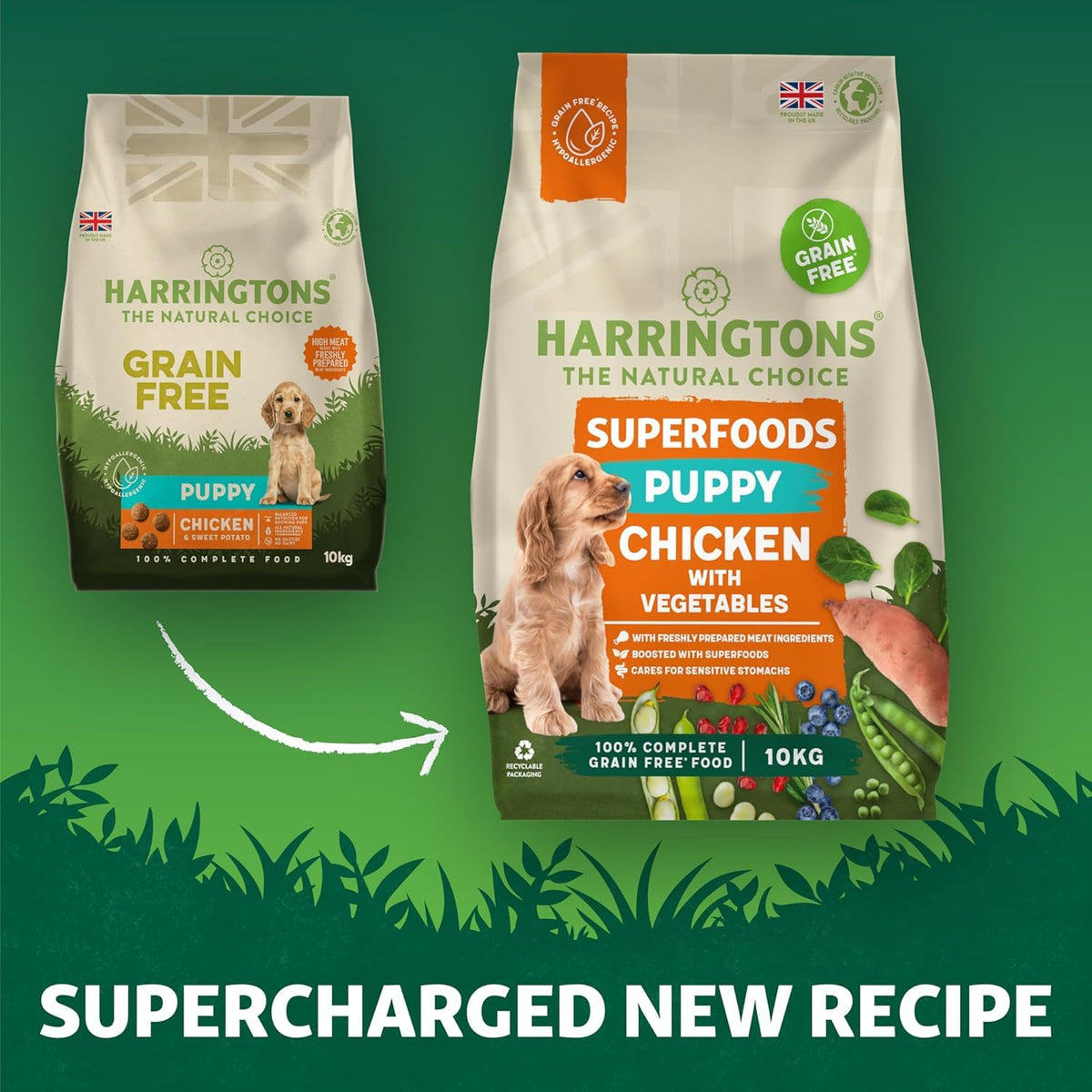 Harringtons Superfoods Complete Grain Free Dry Adult Dog Food Salmon with Veg 12kg - Made with All Natural Ingredients (Packaging may vary)