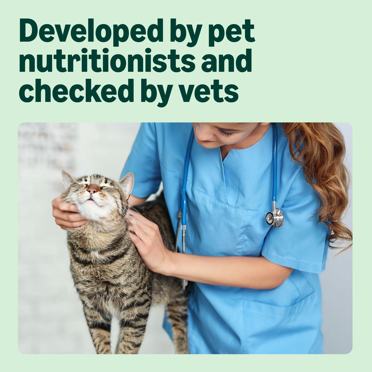 by Amazon - Complete Dry Cat Food with Salmon, Tuna and Vegetables, 2 pack of 3kg