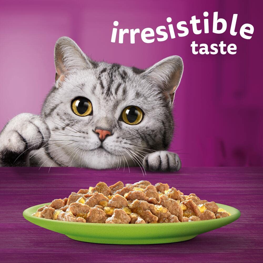 WHISKAS Adult Wet Cat Food in Jelly 40x85g Fish Favourites