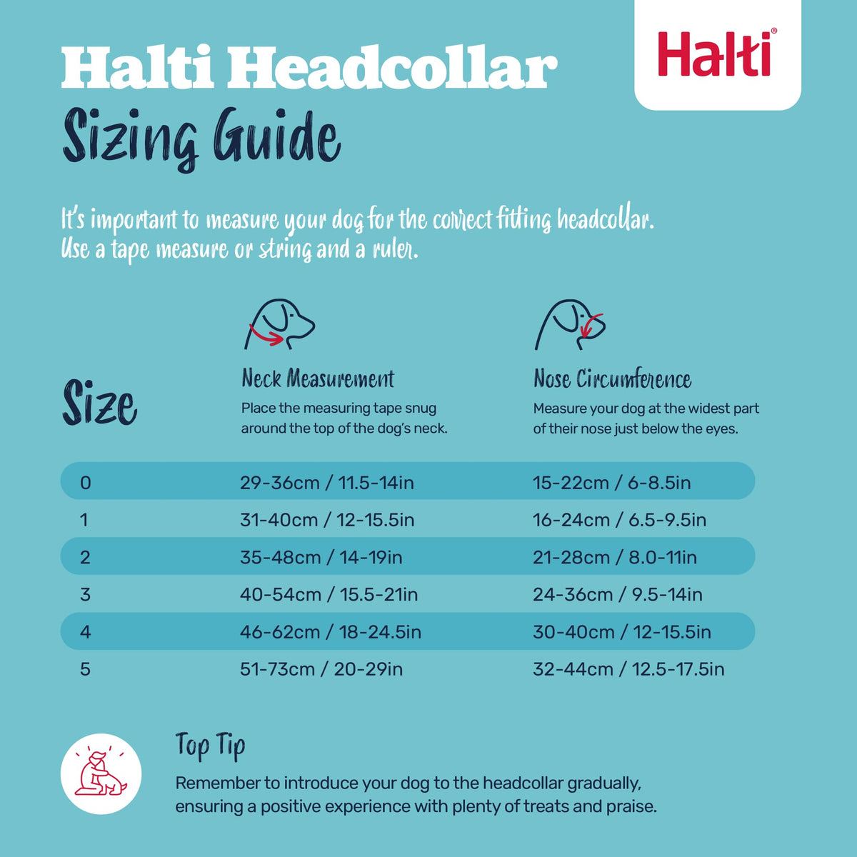Halti Headcollar for Dogs | Size 3, Black