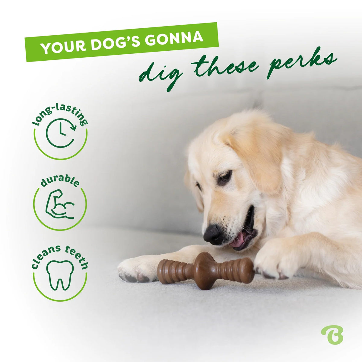 Benebone Wishbone Dog Chew Toy for Aggressive Chewers, Real Bacon, Medium