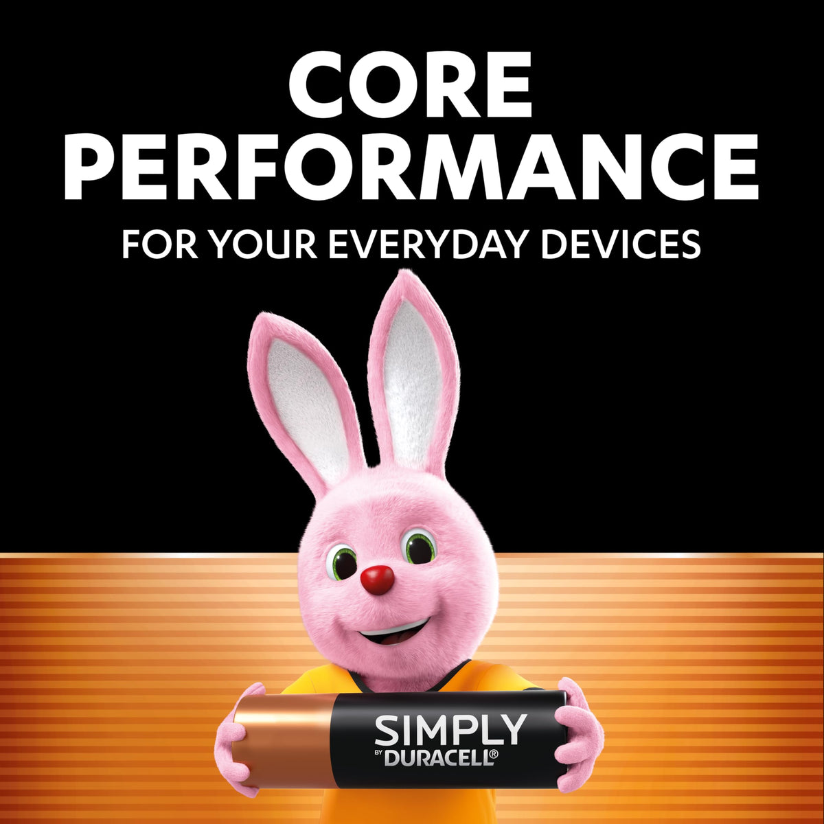 DURACELL Simply AA Batteries (48 Pack) - Alkaline Double A Battery 1.5V - Quality Guaranteed - Everyday Device - Plastic-Free Packaging