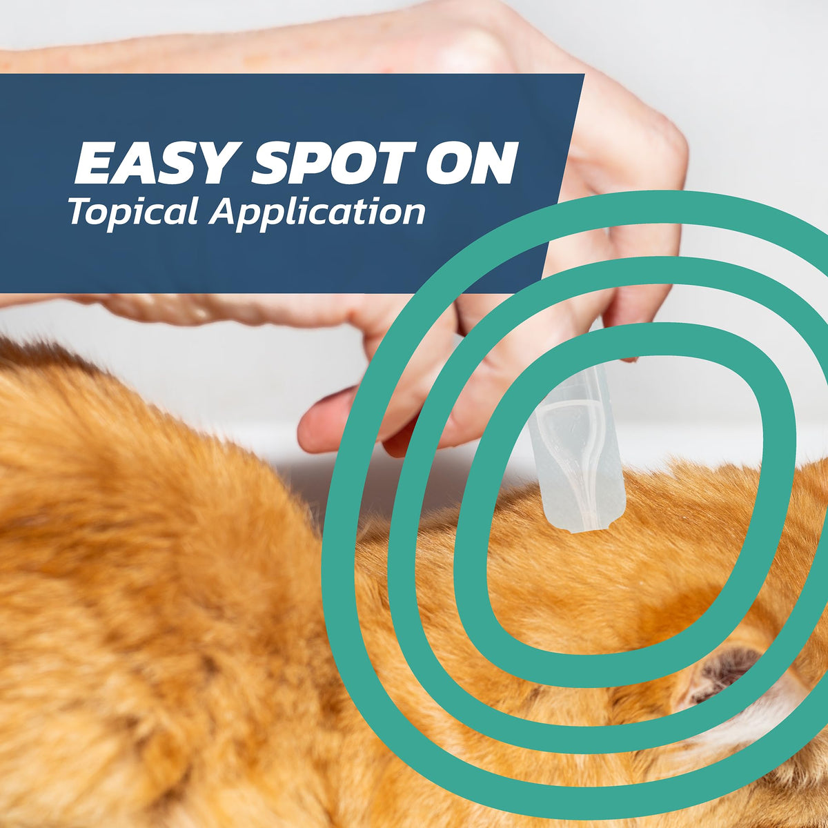Cat Flea Treatment Spot On x 3 Pack - Flea Treatment Cat Spot On for Cats & Kittens Over 1kg - 3 Pipettes, 3 Doses - Fast-Acting FleaSolve Solution