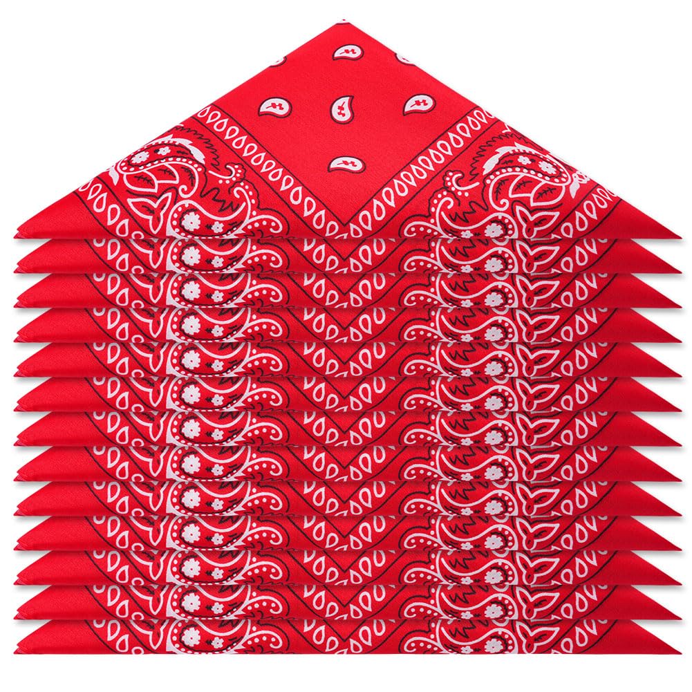 Aomig Bandana Head Scarf for Men and Women, Stylish Cowboy Headband Handkerchief, Multi-purpose Hair Scarf Paisley Print Unisex Headwraps, Bib Party Face Covering Headwear for Motorcycling