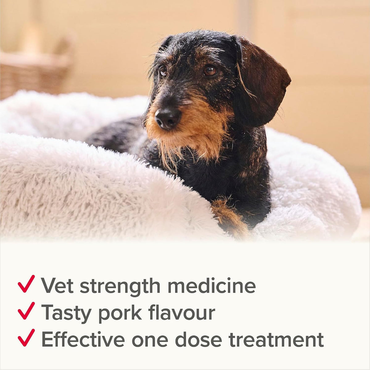 Beaphar - WORMclear® Tablets for Dogs up to 20kg - 2 Tablets - Kills All Common UK Intestinal Worms (Roundworms & Tapeworms) - Vet Strength Wormer - Pork-Flavoured - For dogs over 2 weeks old & 3kg