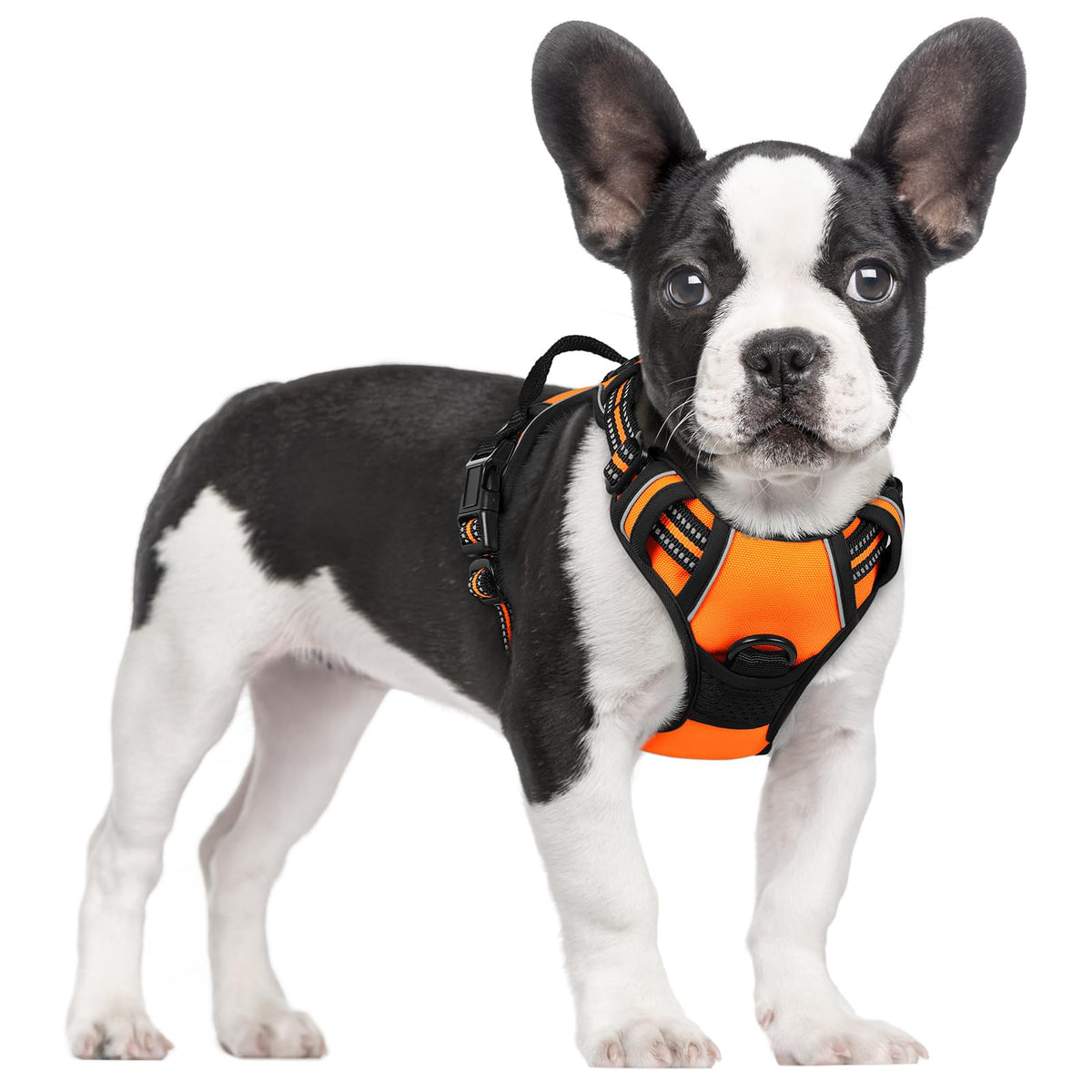 rabbitgoo Dog Harness Large Dog, No Pull Vest with Front Clip & Handle