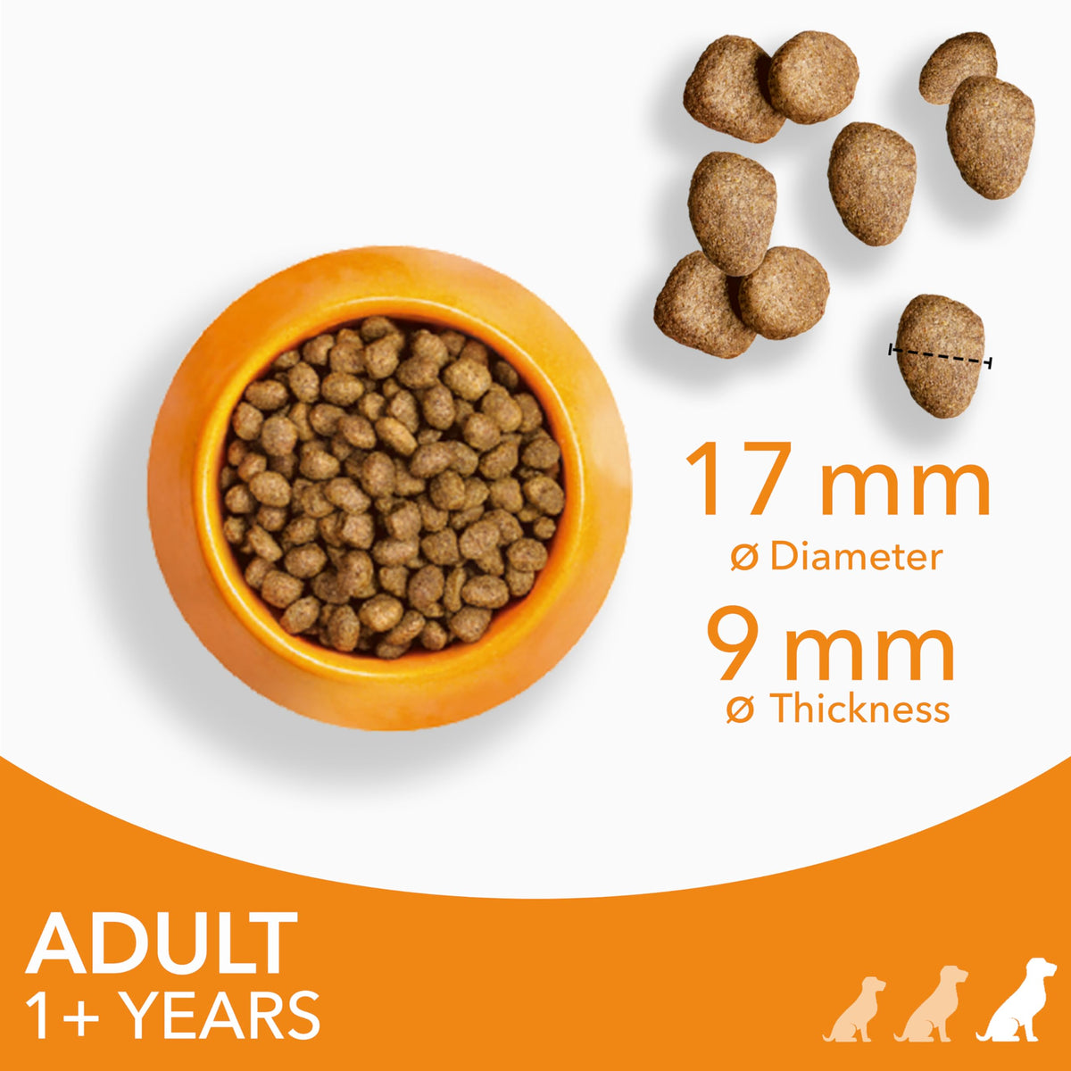 IAMS Adult Large Complete Dry Dog Food Lamb 12kg - With DentalCare System