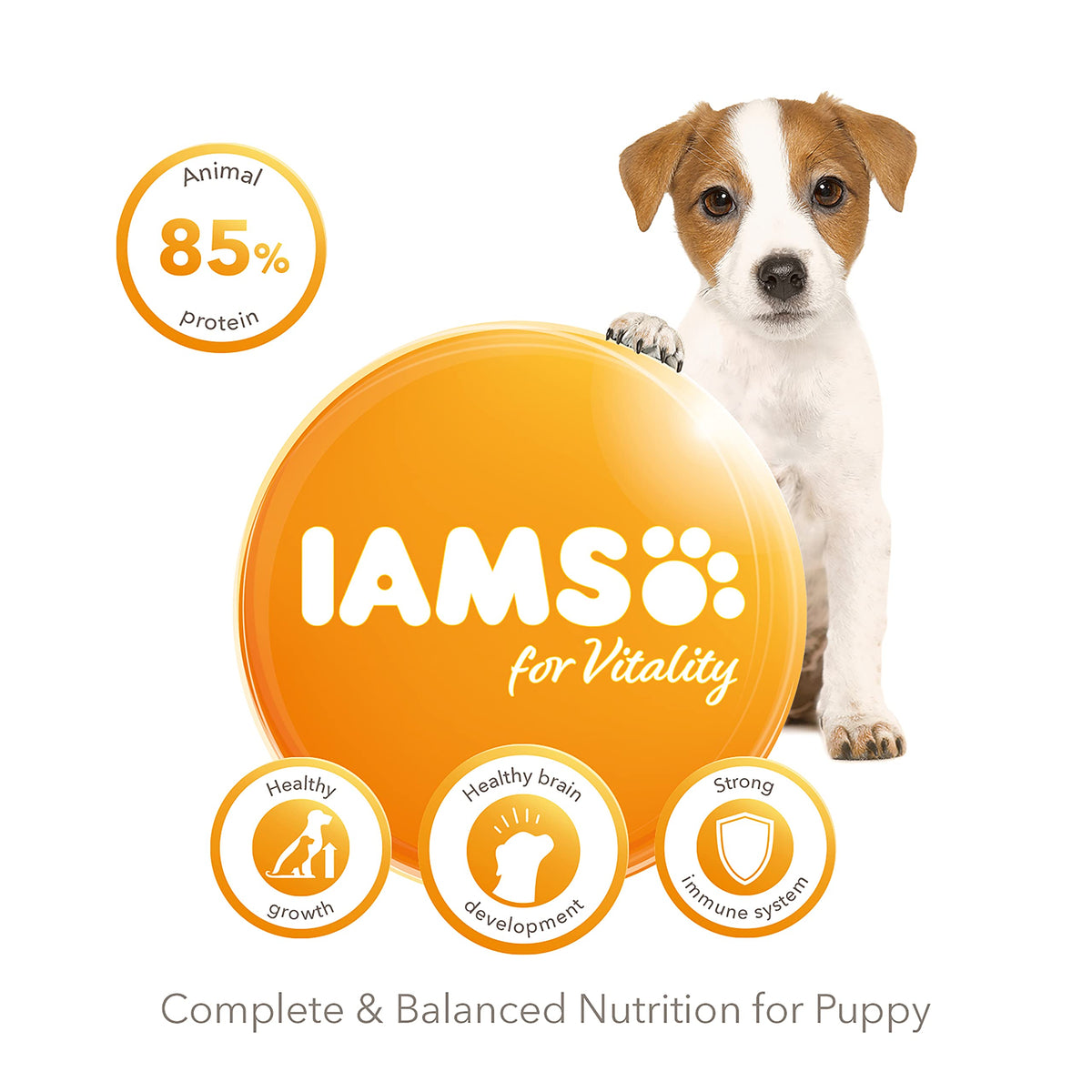 IAMS Puppy Small Medium Complete Dry Dog Food Chicken 3kg - For Healthy Growth