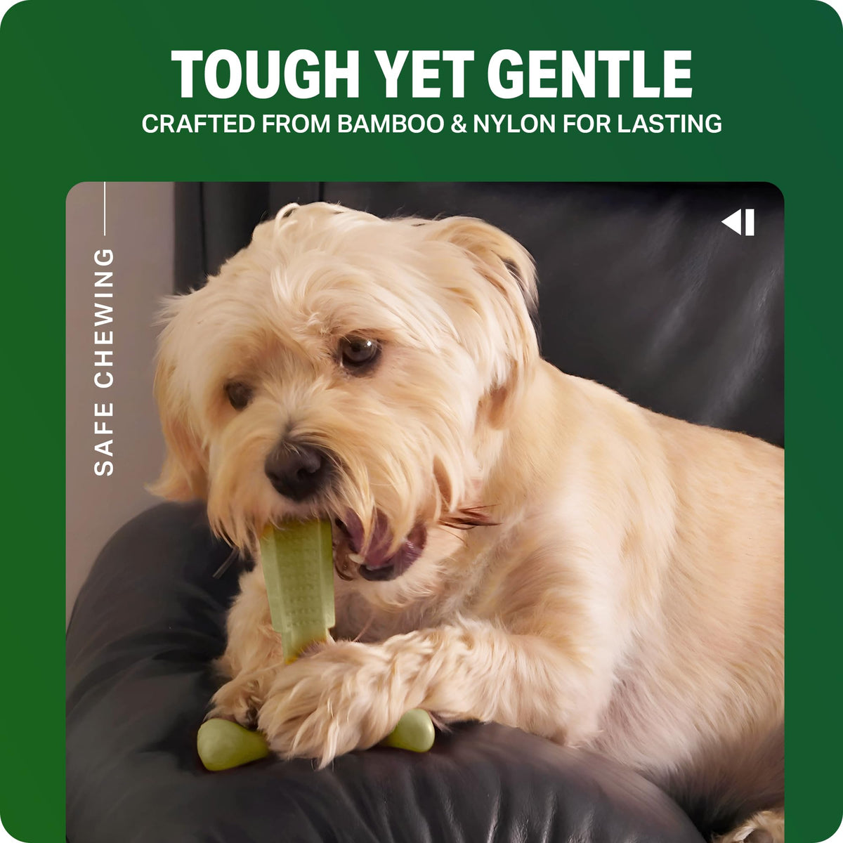 Bamboodles T-Bone Dog Chew Toy – Small | Chicken Flavour | Long Lasting Chew toy for Small Dogs | Durable Chew Toy to Satisfy Chewing Instincts