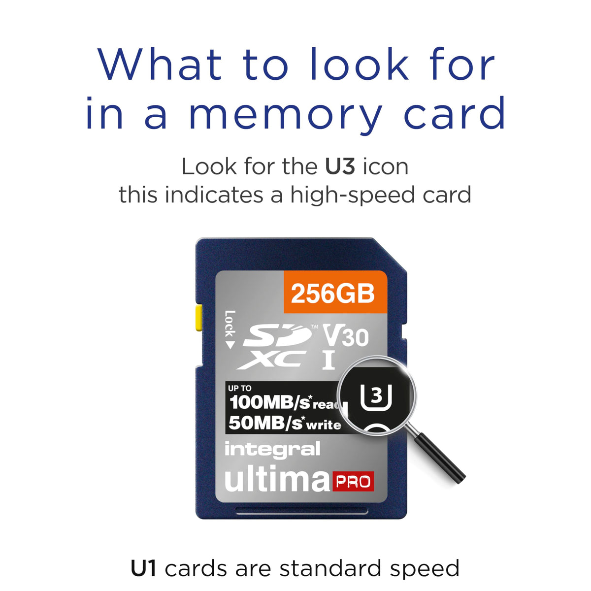 Integral 64GB SD Card 4K Ultra-HD Video High Speed SDXC V30 UHS-I U3 Class 10 Memory Card up to 100MB/s, Color May Vary