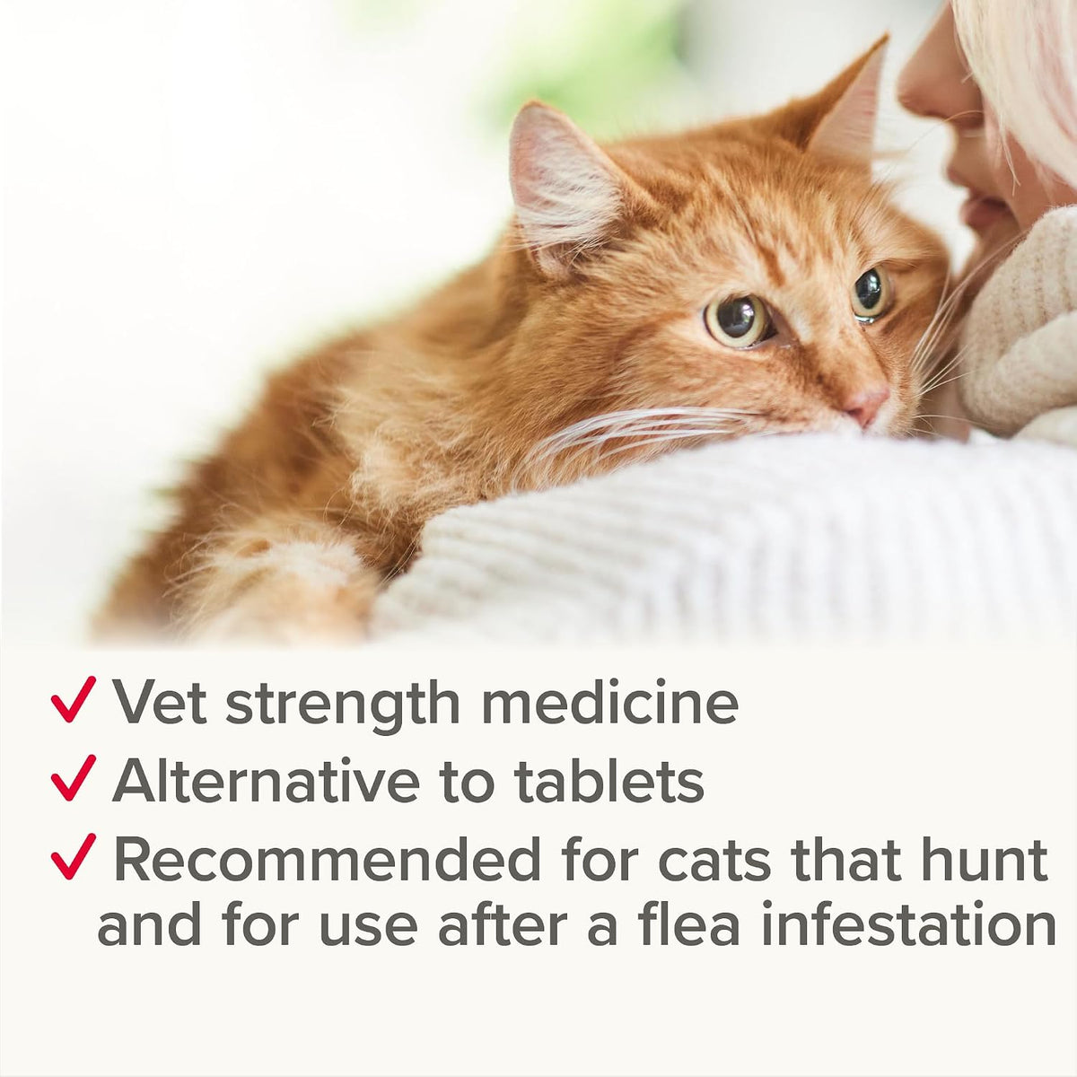 Beaphar - WORMclear® Spot-On for Cats – 2 Pipettes - Kills Tapeworms - Vet Strength Medicinal Worming Treatment - Easy-To-Use Spot-On Wormer - Suitable for Cats & Kittens Weighing More than 1kg