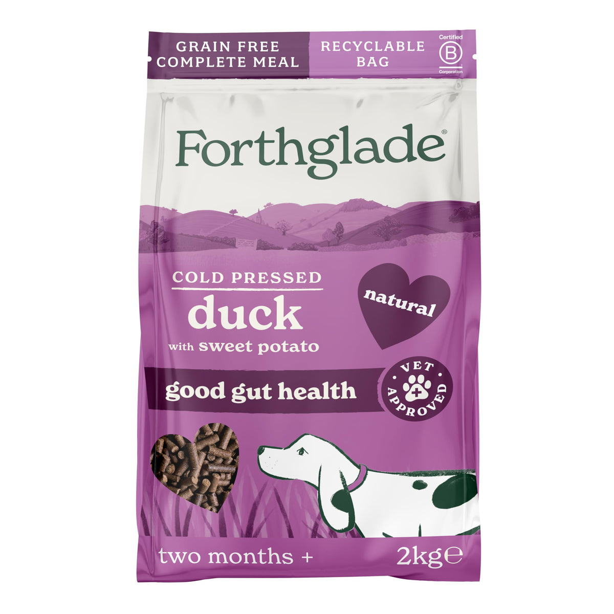 Forthglade Dry Dog Food, Cold Pressed (6kg), Hypoallergenic and Grain Free Dog Food, Salmon & Vegetables, Natural Senior, Adult and Puppy Meal Vet, Approved For Good Gut Health