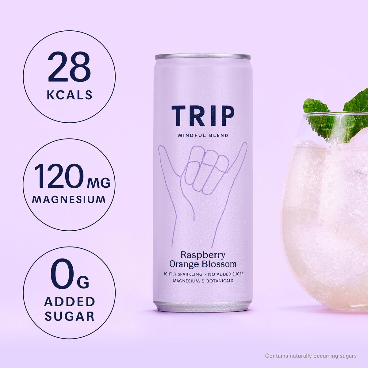 TRIP Cucumber Mint Sparkling drink with 120MG calming Magnesium + Lion’s Mane + Chamomile + Lemon Balm. Low Calorie and Vegan (Pack of 12 x 250ml) - Packaging Might Vary